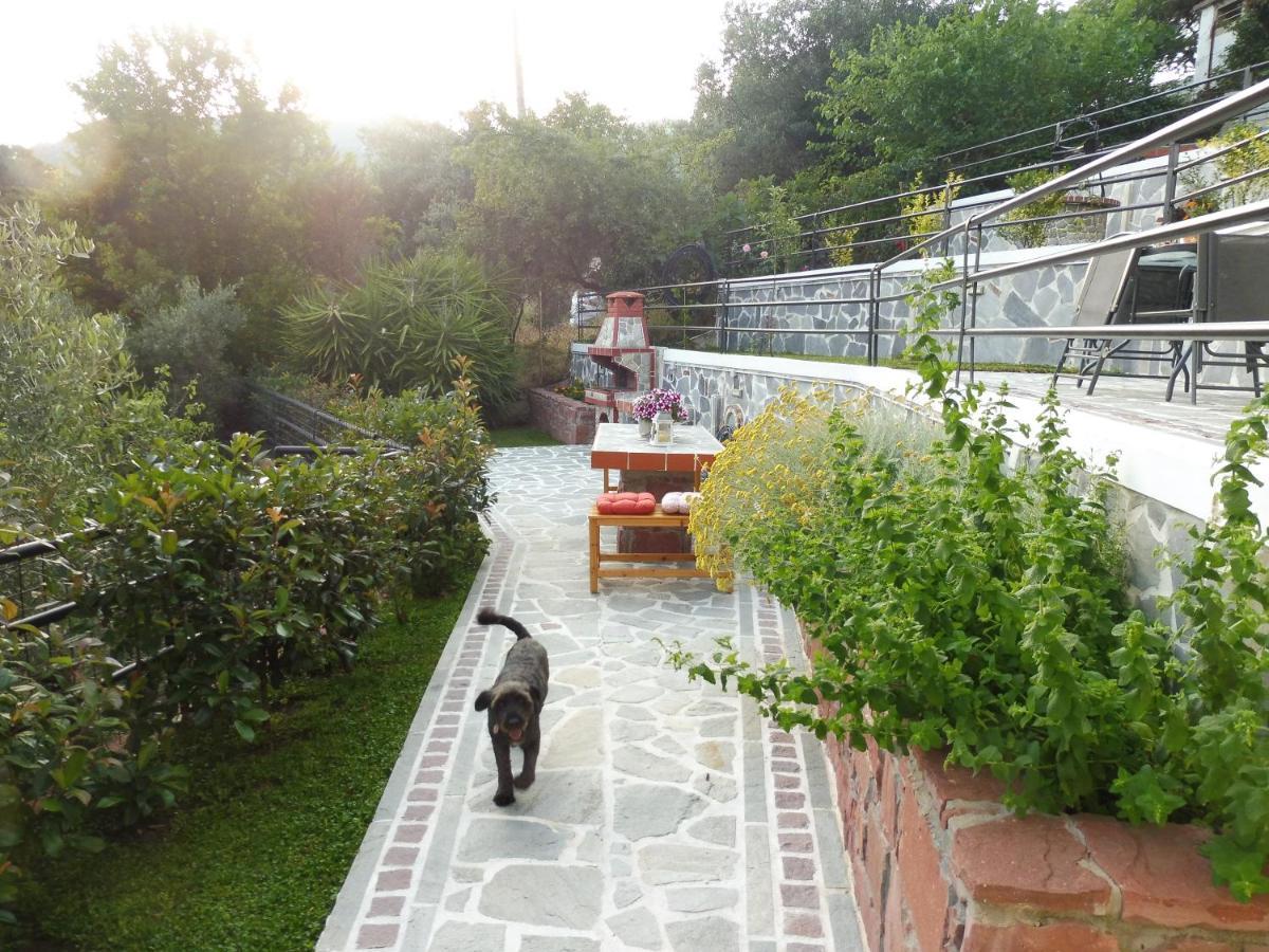 Helianthos Villa - Apartment No4 Palaiontsiflikion Exterior photo